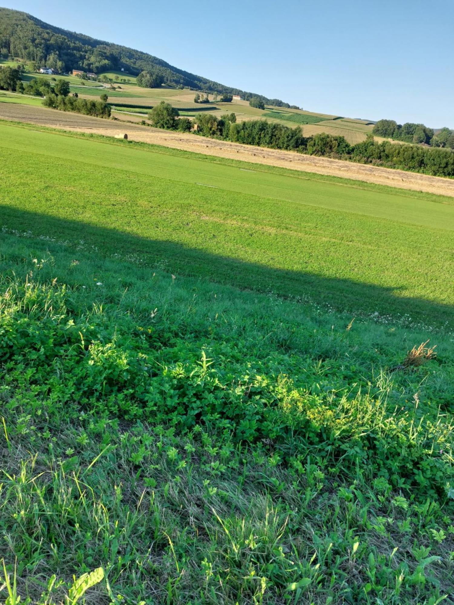 Ferienwohnung Gerti Pinkafeld Zewnętrze zdjęcie