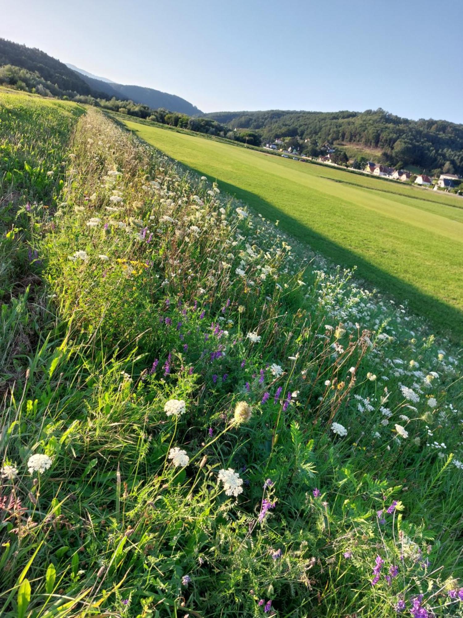 Ferienwohnung Gerti Pinkafeld Zewnętrze zdjęcie